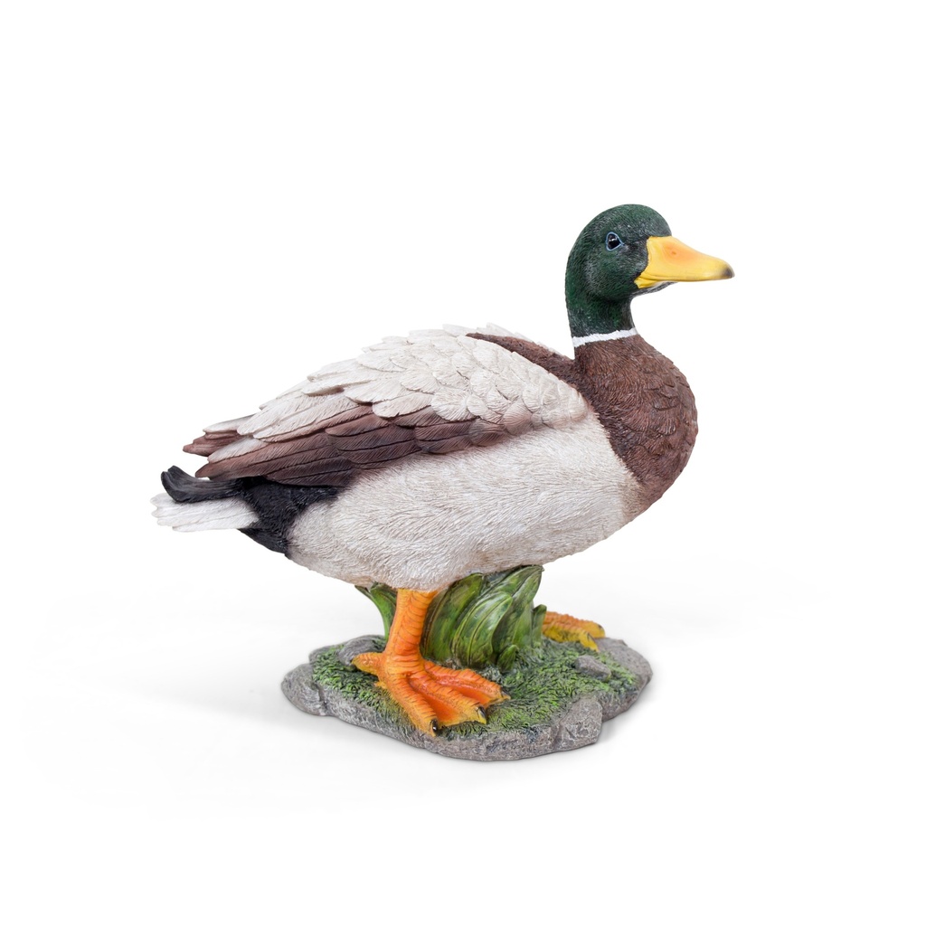 [11154177] POLYRESINE CANARD COLVERT GRAND 33X18H29