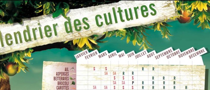 calendrier des cultures