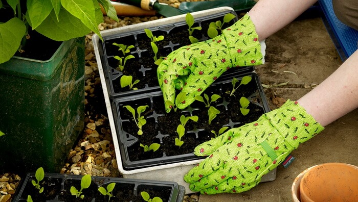 AQUASURE gardening gloves